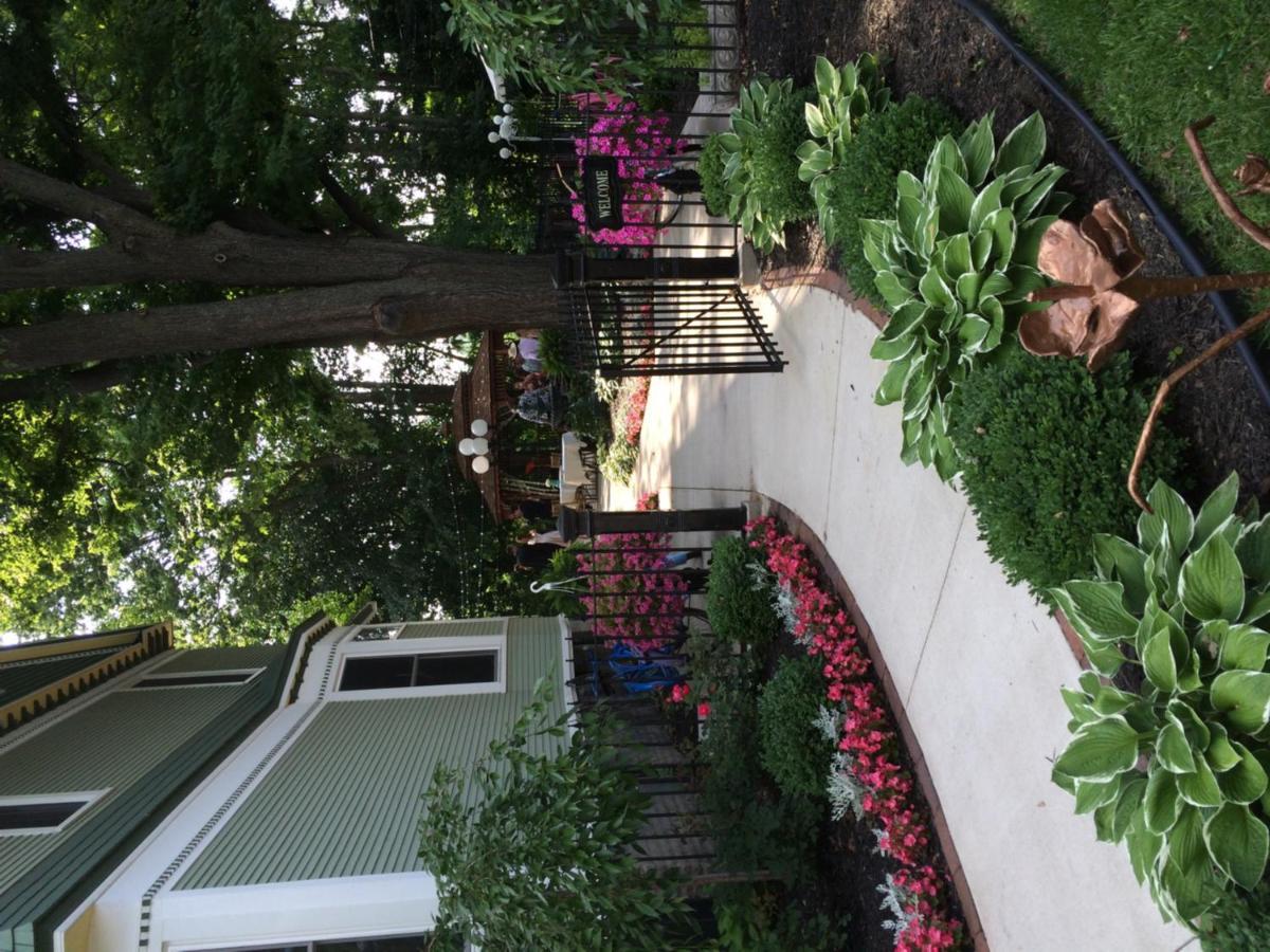 Bed and Breakfast The Ginkgo Tree Mount Pleasant Esterno foto