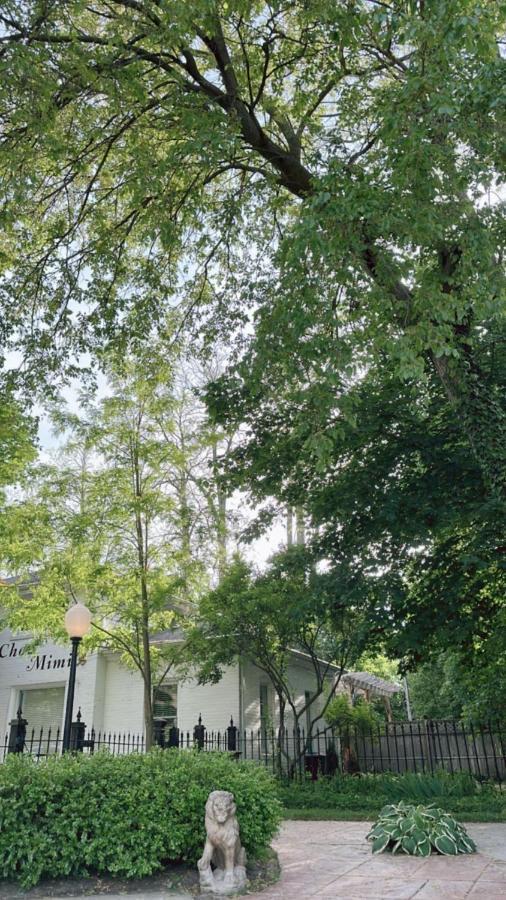 Bed and Breakfast The Ginkgo Tree Mount Pleasant Esterno foto