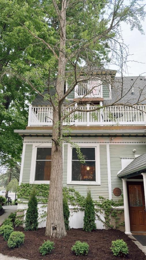 Bed and Breakfast The Ginkgo Tree Mount Pleasant Esterno foto