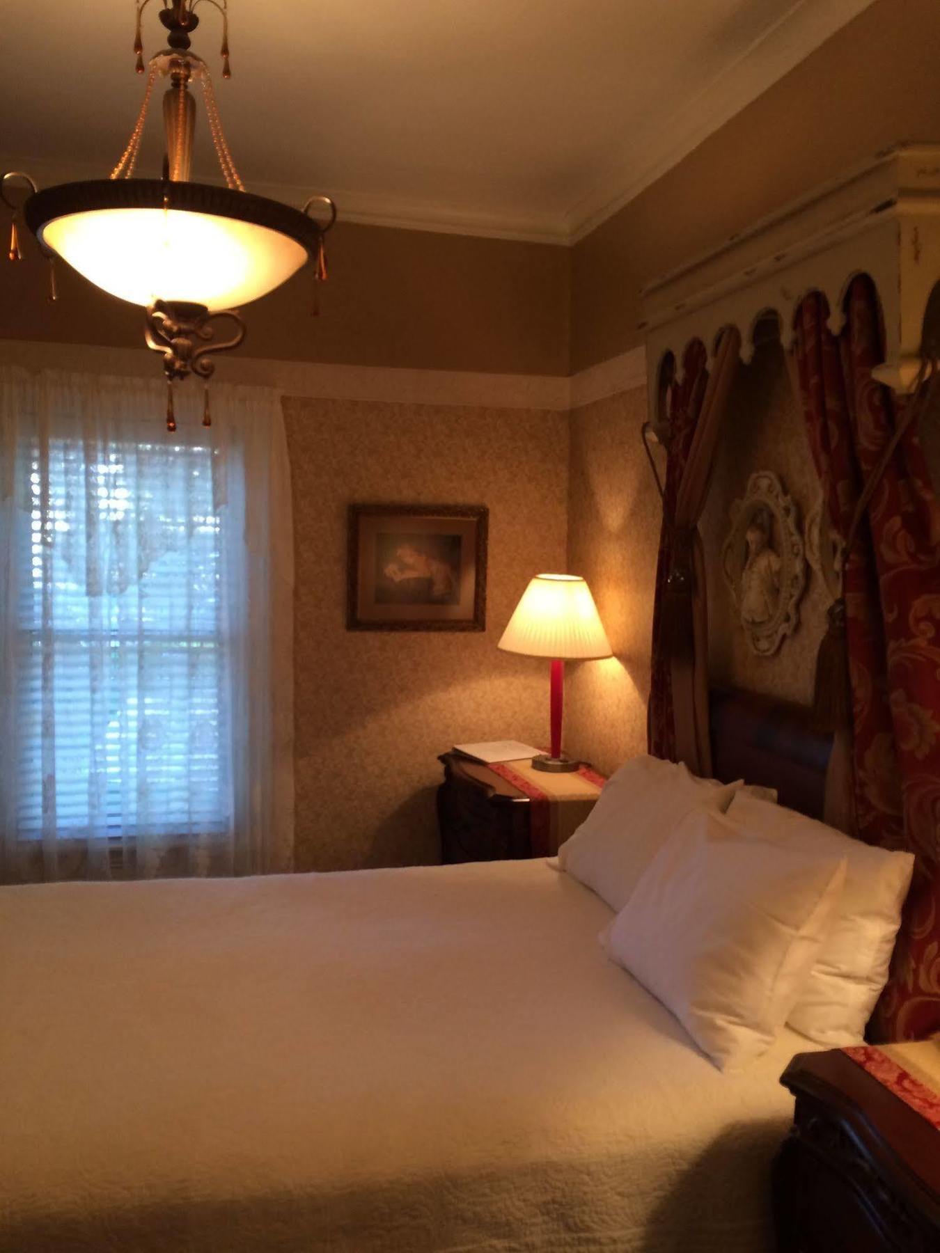 Bed and Breakfast The Ginkgo Tree Mount Pleasant Esterno foto